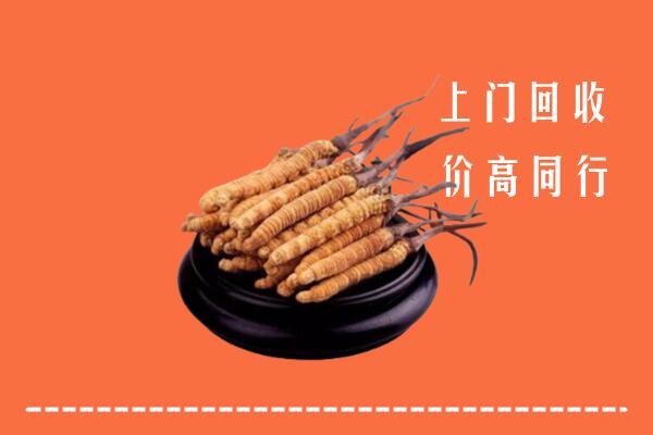 高价求购：掇刀区回收散虫草