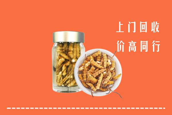 掇刀区回收冬虫夏草