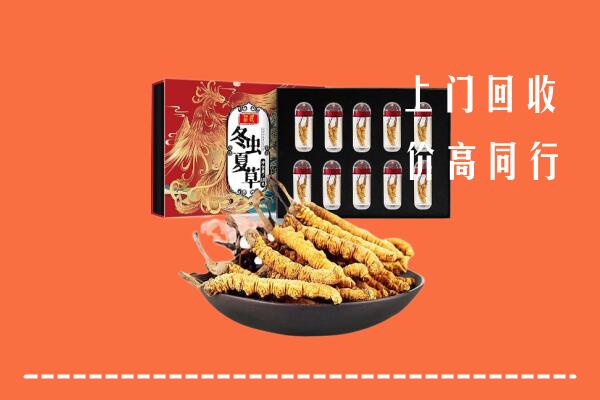掇刀区回收虫草
